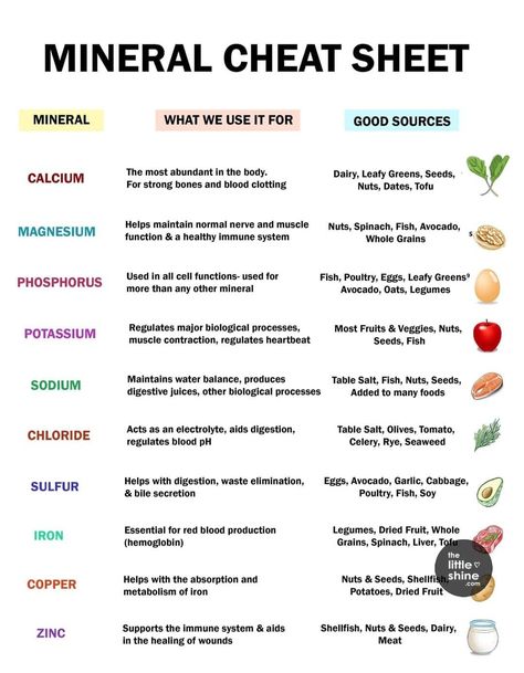 Digestive Juice, Muscle Contraction, Table Salt, Health Knowledge, Quilting For Beginners, Leafy Greens, Cheat Sheet, Cheat Sheets, Fruits And Veggies