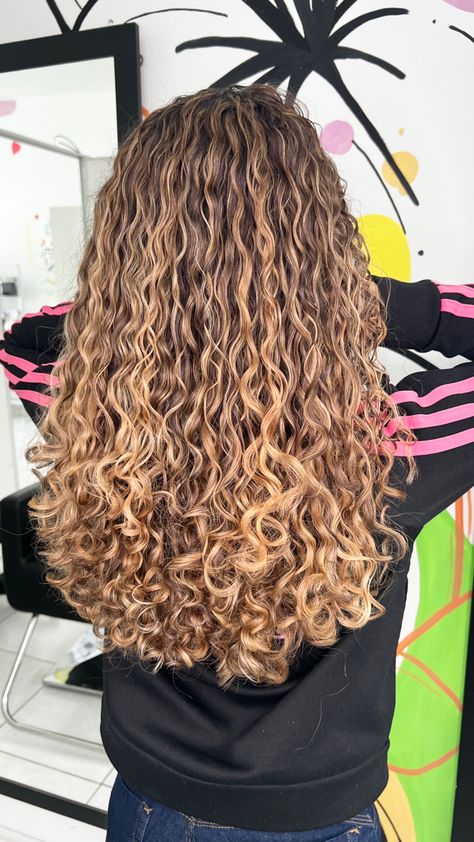 Warm Honey Blonde Hair, Blonde Highlights Curly Hair, Milkshake Hair Products, Curly Highlights, Brown Wavy Hair, Highlights Curly Hair, Brown Curly Hair, Curly Hair Videos, Curly Hair Photos