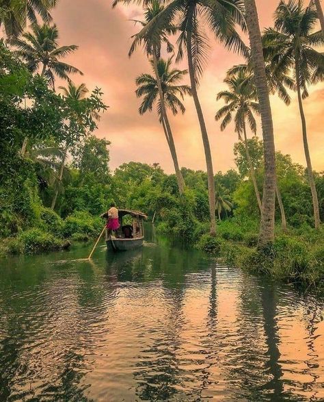 Poovar Island Kerala, Evel Tour, Kerala Village Photography, Trivandrum Photography, Kerala Nature, Kerala Backwaters, Kerala Travel, India Travel Places, Amazing India