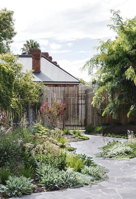 Garden Path Design, Meandering Path, Sustainable Garden Design, Australian Garden Design, Alan Titchmarsh, Australian Native Garden, Path Design, Cottage Garden Plants, Cottage Garden Design