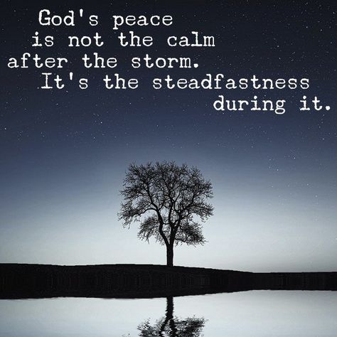 Going Through The Storm Quotes, Getting Through The Storm Quotes, The Storm Quotes, After The Storm Quotes, Gods Peace, Calm In The Storm, God Peace, God's Peace, Storm Quotes