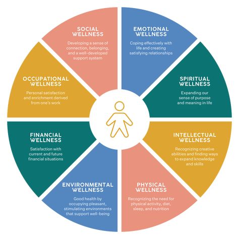 Wellness Wheel The Wheel Of Wellness, Wellness Wheel Assessment, Wellness Wheel Activity, Wellness Wheel Worksheet, Wheel Of Wellness, Well Rounded Person, Brain Knowledge, Micro Habits, Wellness Wheel