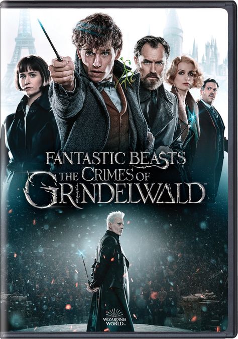 Fantastic Beasts Grindelwald, Fantastic Beasts 2, The Crimes Of Grindelwald, Fantastic Beasts Series, Hogwarts Professors, Beast Film, Fantastic Beasts Movie, Dark Wizard, Crimes Of Grindelwald