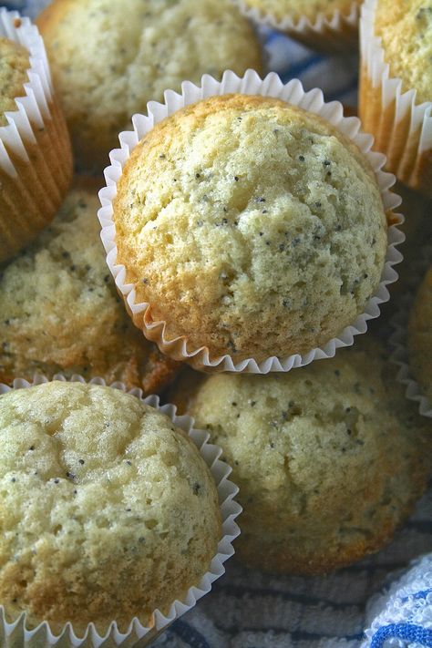 - aka Copycat Costco Poppyseed Muffins Hello friends! Time for this month's Recipe Redux- In all honesty, I really wanted to br... Costco Copycat, Almond Poppyseed, Almond Poppyseed Muffins, Poppyseed Muffins, Breakfast Baking, Applesauce Muffins, Banana Oat Muffins, Seed Muffins, It's Thursday