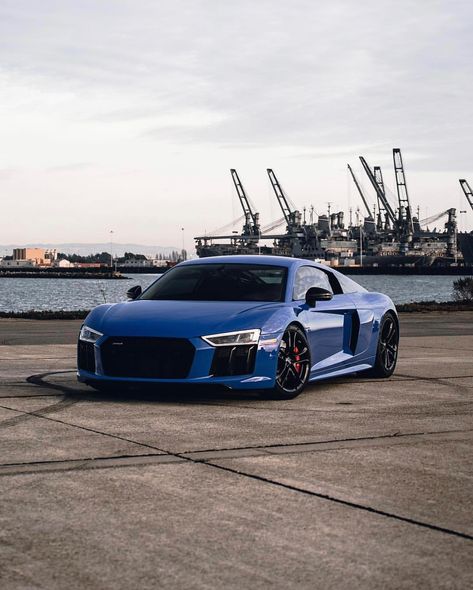 Audi Truck Black, Audi Sq7 2020, Blue Audi, Audi Sports Car, Luxury Cars Audi, Audi Q7, Jeep Cars, Audi R8, Audi