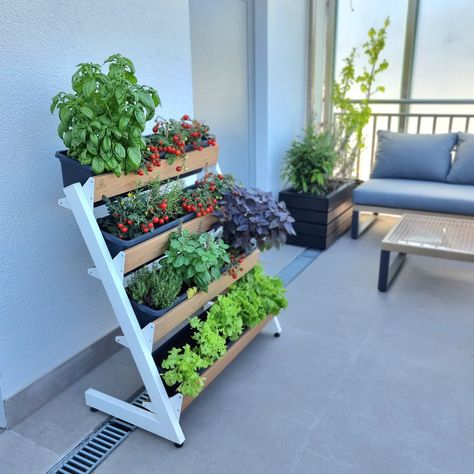 Plant Holders Outdoor, Privacy Planter, Herb Garden Pallet, Metal Plant Hangers, Home Garden Ideas, Tall Plant Stands, Support Pour Plante, Custom Planters, Modern Plant Stand