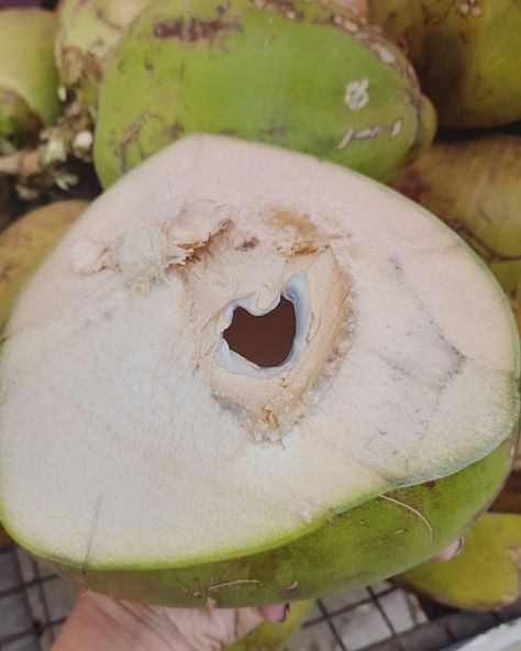 Mine tender coconut heart aesthetic photo photography cute summer spring hot weather food love healthy india indian aloha desi pinterest Hot Weather Food, Hot Weather Meals, Desi Pinterest, Tender Coconut, Heart Aesthetic, Summer Heat, Hot Weather, Photo Photography, Aesthetic Photo