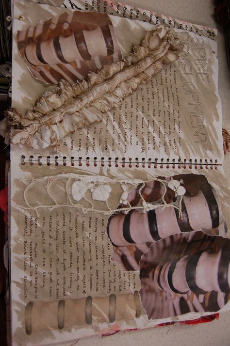 Textiles Inspired By Human Anatomy, Anatomy A Level Art, Human Anatomy Textiles, Human Body Textiles, Bones Textiles, Fragments Textiles Gcse, Textiles Anatomy, Distortion Textiles, A Level Textiles Sketchbook