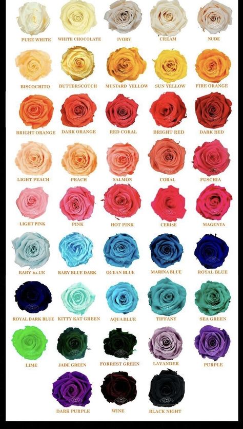 Types Of Roses Chart, Kinds Of Roses, Preserved Roses Arrangement, Roses Colors, Rose Flower Colors, Different Color Roses, Colour Shade Card, Color Names Chart, Rose Color Meanings