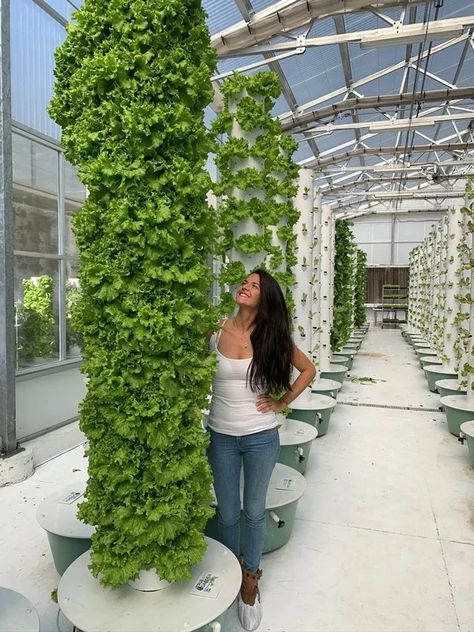 muir-lettuce-tower-garden Aeroponic Tower Garden, Vertical Lettuce Garden, Lettuce Tower, Mediterranean Garden Courtyard, Vertical Garden Tower, Aeroponic Tower, Aeroponic Gardening, Hydroponic Tower, Hydroponic Gardening Diy