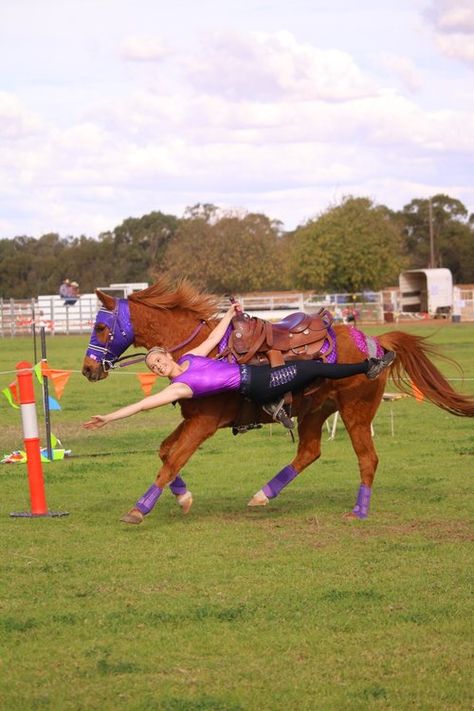 Vaulting Equestrian, Trick Riding, Dream Horse Barns, Show Horse, Dream Horse, Pony Club, Equestrian Riding, Big Show, Horse Barn