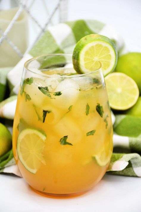 Fruit Mojito Recipe, Fruit Mojito, Cuban Mojito, Passion Fruit Mojito, Mojito Drink, Homemade Alcohol, Fun Drinks Alcohol, Mojito Cocktail, Mojito Recipe