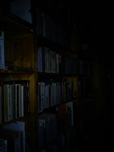 Scary Library Aesthetic, Library At Night Aesthetic, Library Night Aesthetic, Night Library Aesthetic, Creepy Library Aesthetic, Library At Night, Eerie Library, Haunted Library Aesthetic, School At Night Aesthetic