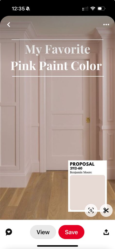 Pink Paint Colors Sherwin Williams, French Country Paint Colors, Light Pink Bedrooms, Light Pink Paint, Painted Closet, Pink Closet, Pink Paint Colors, Pink Door, Neutral Paint Colors