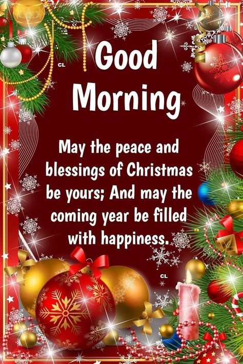 Meditation Facts, Christmas Morning Quotes, Happiness Pictures, Merry Xmas Greetings, Happy Holidays Images, Holiday Blessings, Christmas Card Verses, Christmas Greetings Quotes, Good Morning Christmas