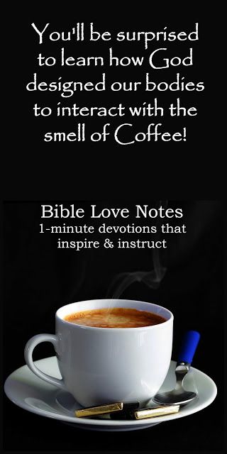 Facts About Coffee, The Smell Of Coffee, Prayer For The Sick, Bible Love Notes, Biblical Wisdom, Some Interesting Facts, Gods Guidance, Bible Study Help, Jesus Praying