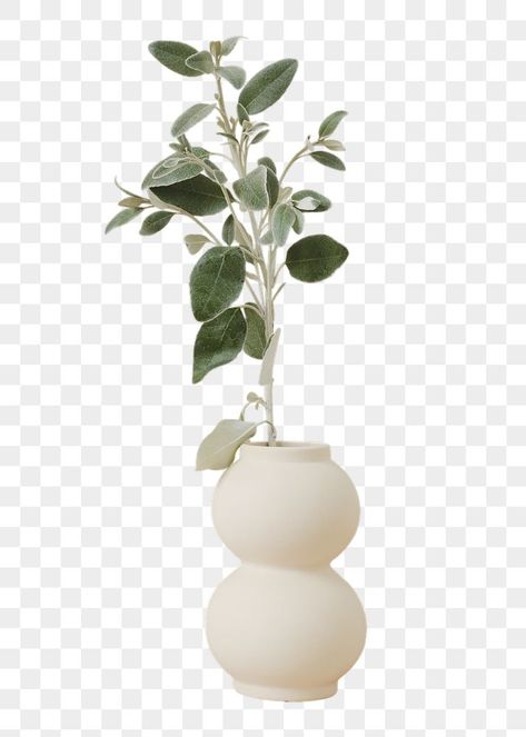 Vase With Plant, Plant In Vase, Vase Png, Branch Vase, Sticker Transparent Background, Desk Flowers, Plant Png, Vase Plant, Flower Ceiling