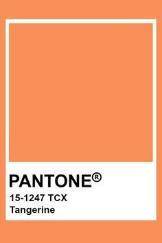 Peach Caramel, Orange Pantone, Pantone Orange, Pantone Red, Majolica Blue, Cadmium Orange, Sunset Purple, Pink Yarrow, Mykonos Blue