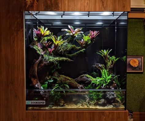 Paludarium Aquarium, Paludarium Ideas, Dart Frog Vivarium, Gecko Vivarium, Tropical Terrariums, Vertikal Garden, Aquarium Architecture, Kolam Koi, Frog Terrarium