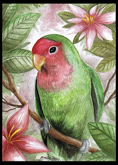 Pencil Colour Painting, Peacock Wall Art, Red Theme, Color Drawing Art, Portrait Cartoon, Nature Art Painting, Tropical Art, Animal Sketches, Color Pencil Art