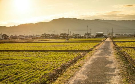 Japanese Farm, Cinematic Aesthetic, Japanese Countryside, Work Train, Japan Home, Photos For Profile Picture, Japanese Landscape, Photo Boards, Cool Wallpapers Art