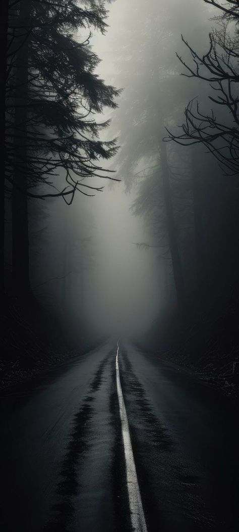 Reoccurring Dreams, Moody Scenery, Spooky Wallpapers, Gloomy Aesthetic, Minimalist Wallpaper Phone, Foggy Night, Black Mood, Dark Forest Aesthetic, Best Nature Images