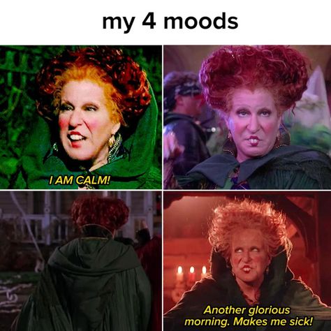 Hocus Pocus Everybody Focus, Hocus Pocus Amuck, Hocus Pocus Winifred, Thackeray Binx Hocus Pocus, Hocus Pocus Meme, Spooky Memes, Halloween Memes, Halloween Quotes, Hocus Pocus