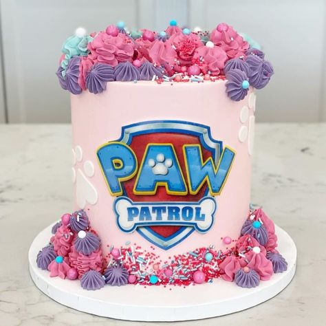 15 Paw Patrol Cake Ideas for Girls & Boys That Are Super-Cool Paw Patrol Cakesicles, Paw Patrol Sky Cake, Paw Patrol Cake Ideas, Paw Patrol Birthday Cake Girl, Paw Patrol Torte, Paw Patrol Party Ideas, Cakesicles Ideas, Paw Patrol Birthday Party Cake, Pink Paw Patrol