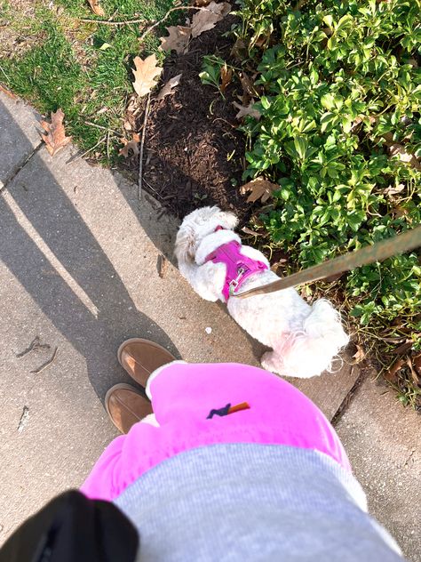 Preppy Medium Widget, Preppy Girl Aesthetic, Preppy Girl, Summer Pictures