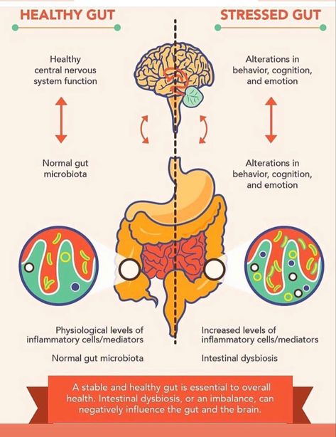 Gut Brain Connection, Clean Program, Go With Your Gut, Brain Connections, Gut Brain, Gut Microbiota, Trust Your Gut, Liver Detox, Gut Bacteria