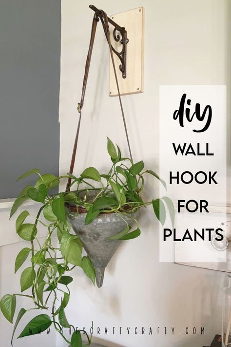 Diy Hooks For Hanging, Wall Mounted Plant, Diy Hooks, Wall Plant Hanger, Plant Hooks, Using Chalk Paint, Plants Wall, Diy Plant Hanger, Do It Yourself Projects