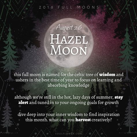 August 26th Full Moon: Hazel Moon on the Soul Flower Blog - we create funky organic and eco-friendly clothing that fits your lifestyle and is kind to the earth. Full Moon August 2024, Flower Moon Ritual 2024, Harvest Moon Spiritual Meaning, Flowers Associated With The Moon, Full Harvest Moon Spells, December Full Moon, August Moon, Full Moon Tonight, Moon Chart