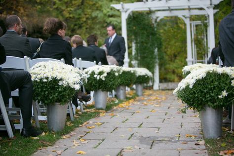 White mums or chrysanths along the aisle - Ontario Wedding at The Ancaster Mill from Nataschia Wielink Photo + Cinema White Pumpkins Wedding, Mums In Pumpkins, Mums Wedding, White Mums, Pumpkin Wedding, Backyard Reception, Beautiful Beach Wedding, Bride Photography, Wedding Aisle