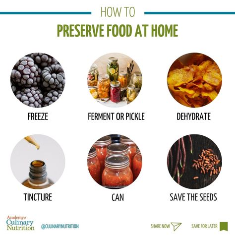 How to Preserve Food At Home Emergency Preparedness Items, How To Make Pickles, Fermented Kimchi, 2nd Grade Science, Food Tool, Preserve Food, Fermentation Recipes, Food At Home, Dehydrated Food