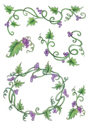 Grape Vine Tattoo Small, Grape Vine Drawing Simple, Grapevine Tattoos For Women, Grape Vine Tattoos For Women, Ivy Tatoos, Poison Ivy Vine Tattoo, Grape Vines Art, Grapevine Tattoo, Grape Vine Tattoo