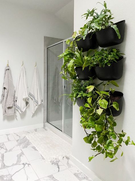 A review of WallyGro planters and how to create a DIY living wall in your home using Eco Planters. Pothos Wall Planter, Snake Plant Wall Planter, Large Wall Planter, Wall Planters Indoor Diy, Wall Planters Diy, Plant Wall Bathroom, Indoor Wall Planter Ideas, Wallscape Planters, Wall Mounted Planters Indoor