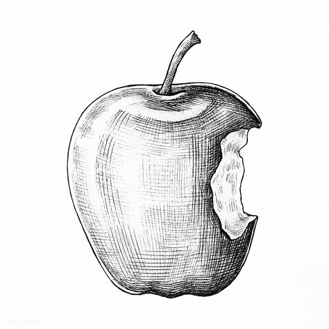 Hand drawn bitten apple fruit | premium image by rawpixel.com Bitten Apple, Apple Sketch, Apple Drawing, Apple Tattoo, Fruit Sketch, Lemon Set, Apple Bite, Apple Vector, Pumpkin Drawing