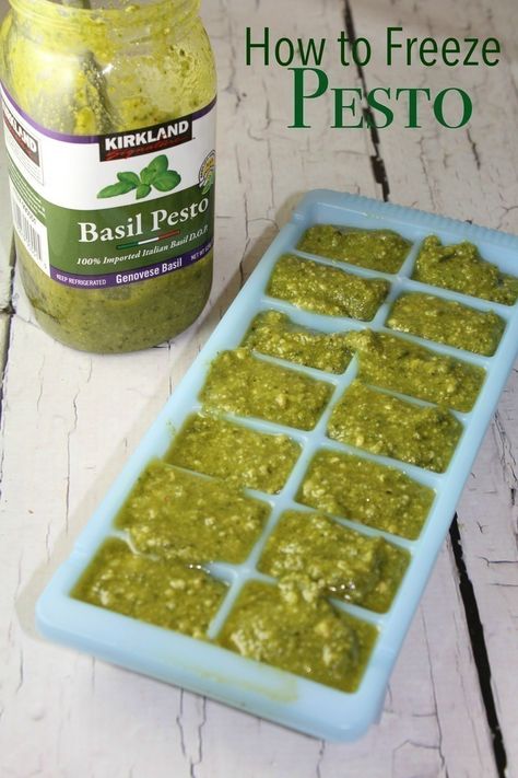 How to Freeze Pesto – The CentsAble Shoppin How To Freeze Pesto, Can You Freeze Pasta, Freeze Pasta, Pasta With Pesto Sauce, Freezing Pesto, Pasta With Pesto, Salad Appetizer Cups, Freezing Herbs, Frozen Pasta