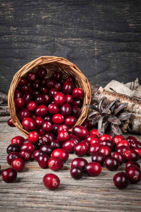 Cranberry Powder, Honey Candle, Healthy Man, Natural Fragrance Oil, Eating Tips, Fresh Cranberries, Heart Healthy Recipes, Orange Oil, Cranberry Sauce