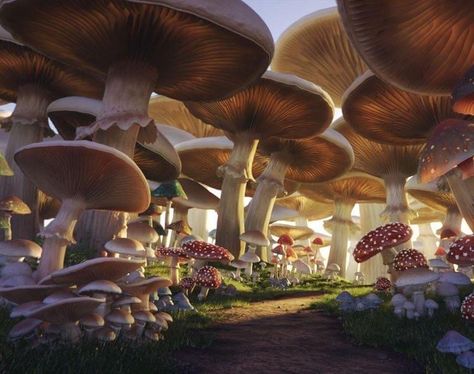 Mushroom Forest Aesthetic, Forest Aesthetic Wallpaper, Mushroom Background, Giant Mushroom, Mushroom Wallpaper, Wallpaper Estetika, Forest Aesthetic, Mushroom Forest, Fantasy Forest