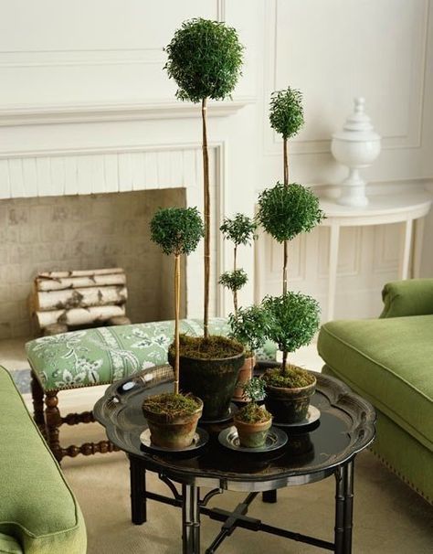 The Most Beautiful Fireplace Mantels | White Mantels | Part I - laurel home White Mantel, Green Furniture, Topiaries, Fireplace Mantels, Shade Garden, Garden Room, Ikebana, Indoor Garden, Decor Diy