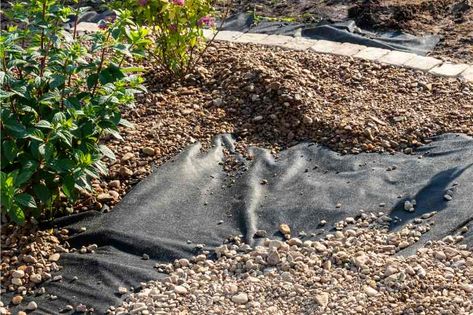 How to Install Landscape Fabric Under Gravel How To Put Gravel In Yard, Landscape Fabric Under Rocks, Separating Grass From Gravel, How To Glue Pea Gravel, Mulch Glue Pea Gravel, Rock Mulch, Rock Pathway, Gravel Pathway, Gravel Landscaping