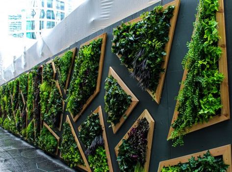 Living Green Wall, Green Wall Design, Moss Walls, Artificial Grass Wall, Artificial Green Wall, Garden Wall Designs, Grass Wall, Walled Garden, Moss Wall