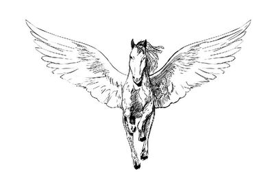 Mike Kevan from Art Dump.  Pegasus front view.  Isn't this the logo from a movie company? Pegasus Drawing, Pegasus Tattoo, Tattoo Fe, Horse Tattoo Design, Unicorn Tattoos, Fantasy Horses, Sternum Tattoo, Horse Tattoo, White Tattoo