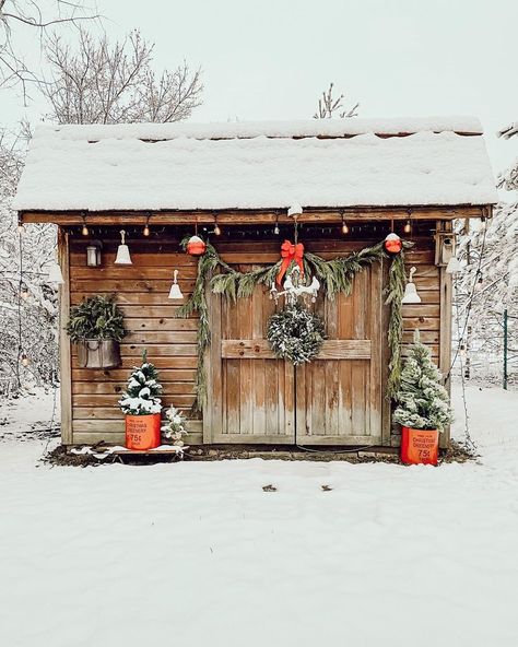 Soul & Lane on Instagram: “The decor on this shed shows how wholeheartedly is @patina_pine enjoying the Christmas spirit. It looks enchanting and gorgeous!💛✨⁠ .⁠ .⁠…” Shed Exterior Ideas, German Schmear, Farm House Livingroom, Christmas Tree Lots, Cottages And Bungalows, House Shed, Fresh Christmas Trees, Christmas Backdrops, Christmas Tree Farm