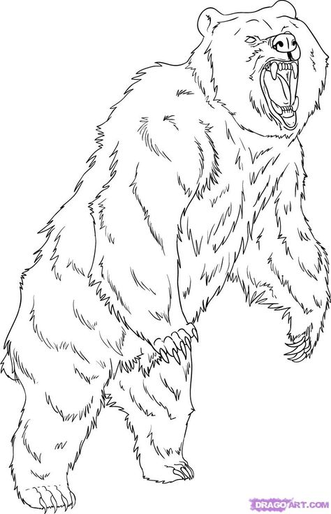 Grizzly Bear Coloring Pages | How to Draw a Grizzly Bear, Step by Step, forest animals, Animals ... Bear Sketch, Bear Artwork, Bear Drawing, Bear Coloring Pages, Wood Burning Patterns, Guided Drawing, Grizzly Bear, Cute Coloring Pages, Animal Coloring Pages