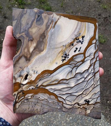 Blue Biggs Jasper polished specimen slab. #biggsjasper #jasper #bluebiggsjasper Biggs Jasper, Dalmatian Stone, Gemstones Chart, Rocks And Fossils, Rock Hunting, Green Jasper, Rocks And Gems, Rock Hounding, Picture Jasper