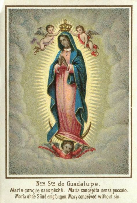 Rosary Case, Cuban Culture, Vintage Holy Cards, Blessed Mary, Virgin Of Guadalupe, Mama Mary, Angel Images, Divine Mother, Blessed Mother Mary