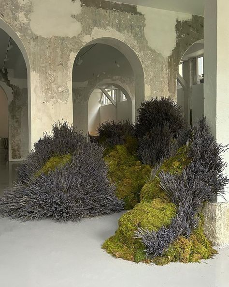 Lavender in Paris with @caronparfums | Instagram Foliage Installation, Flower Recipes, Spring Studios, Flower Installation, Flower Food, Floral Theme, Special Thanks, Unique Photo, Dream Come True