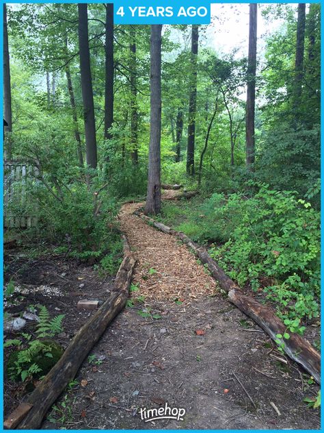 Paths Through The Woods, Wooded Yard Landscaping Ideas, Backyard Trail Ideas, Forest Yard Landscape, Woodchip Pathways, Backyard Woods Landscaping, Woods Pathway, Woodland Walkway, Woods Hangout Spot